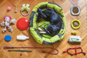 Every Dog Owner Must Have An Essential-Kit 