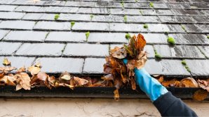 Comprehensive Gutter Cleaning in Spotswood for a Healthier Home