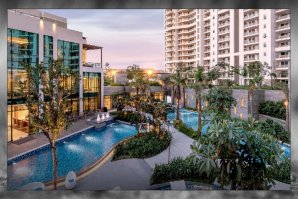 The Future of Gated Grandeur: A Deep Dive into DLF The Arbour’s Legacy