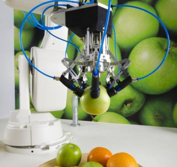 Fruit-picking Robot Solves Automation Challenge