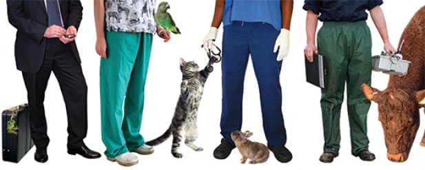 What Is Necessary To Become A Professional Veterinary Surgeon?