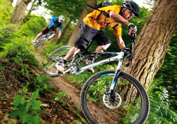 8 Tips to Buy a Mountain Bike