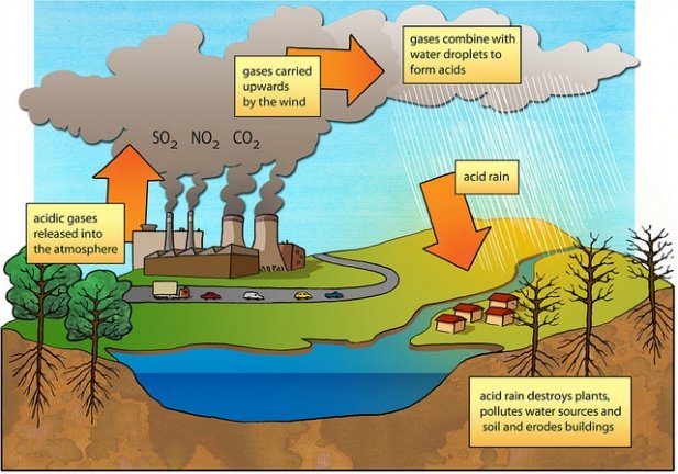 What Do You Know About Acid Rain?