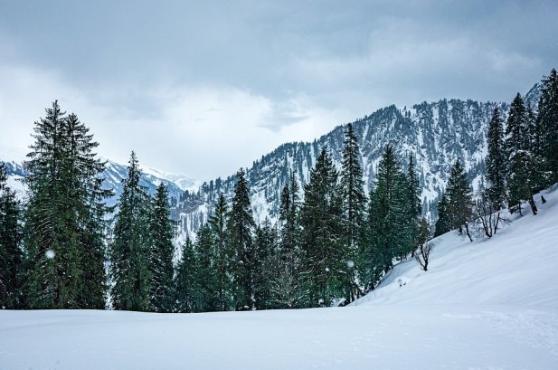Top Tourist Attractions of Kashmir to Visit in 7 Days