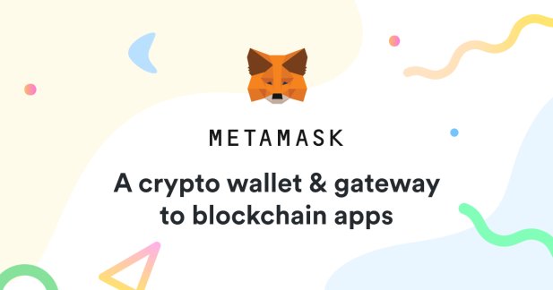 Can You Carry Out MetaMask Wallet With The Seed Phrase?