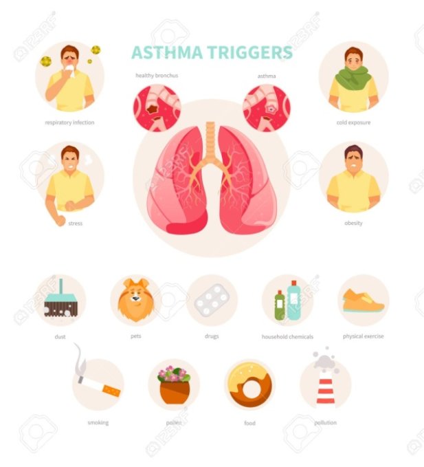 Asthma Causes - Internal and External Allergies