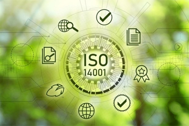 ISO 14001: Required and Recommended Documents