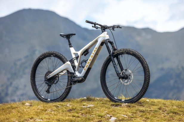Choosing Between Electric Mountain Bikes