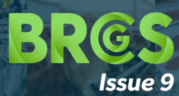 Internal Audits: Assessing Your BRCGS Issue 9 Documentation
