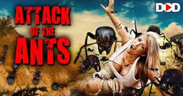 Attention Thrill-Seekers! 3 Mind-Blowing Hollywood Movies in Telugu Dubbed