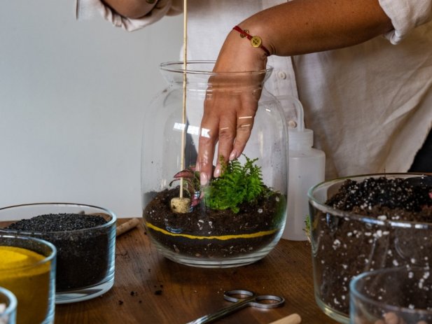 What Are The Benefits Of A Terrarium For Indoor Spaces?