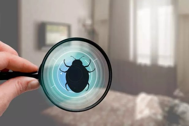 Pest Infestation Housing Disrepair Claims: Get the Help You Deserve from the UK’s Top Housing Disrepair Experts