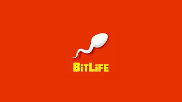How to Play and Experience Store Management in Bitlife