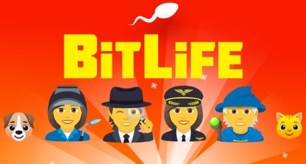 How to Play and Experience the Store Management Game: BitLife