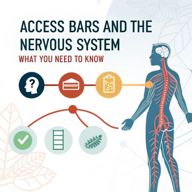 Access Bars and the Nervous System – What You Need to Know