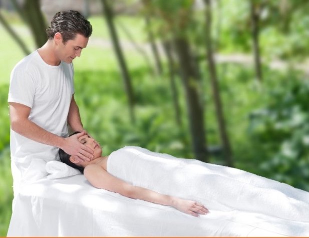 Sustainability of the Massage Therapist Profession and Future Technology Utilization