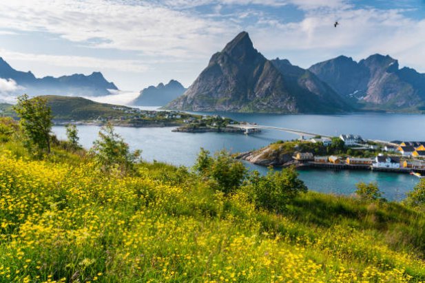 Why Anglers Say the Best Fishing Lodge Is Worth Every Penny