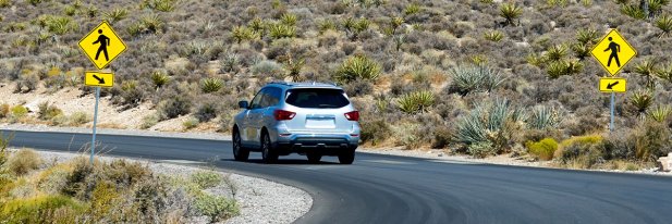 Botswana to Mozambique: Why Africans Trust Japanese Used Cars