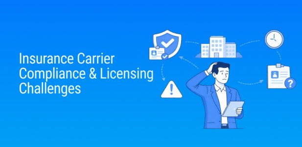 Top Compliance Challenges in Insurance Licensing Today