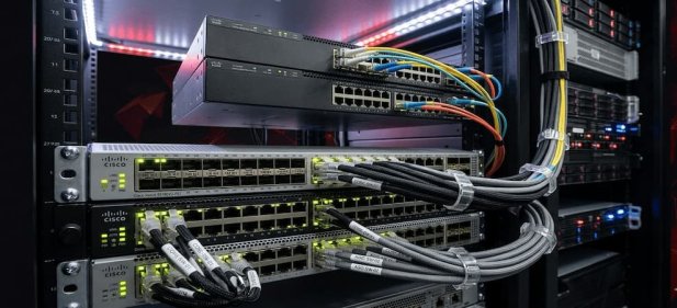Top Cisco Enterprise Switches for Business Networks