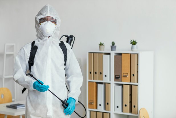 Eliminate Unwanted Pests with Expert Pest Control Solutions